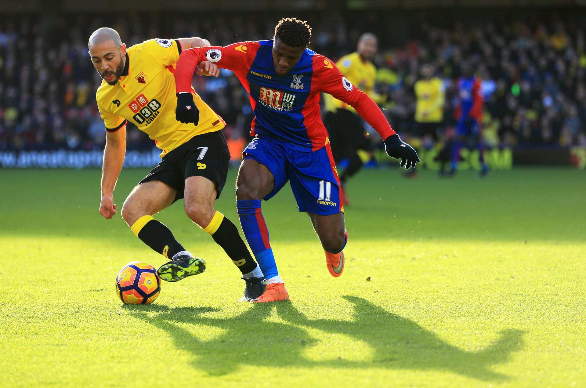 观众和参赛 观众和参赛